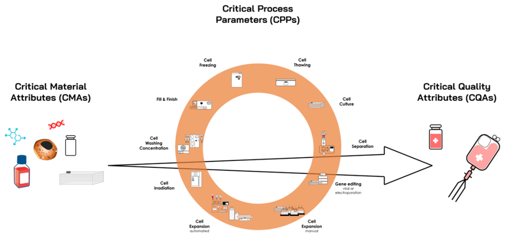 Critical Factors in Cell Therapy Manufacturing - Cell easy